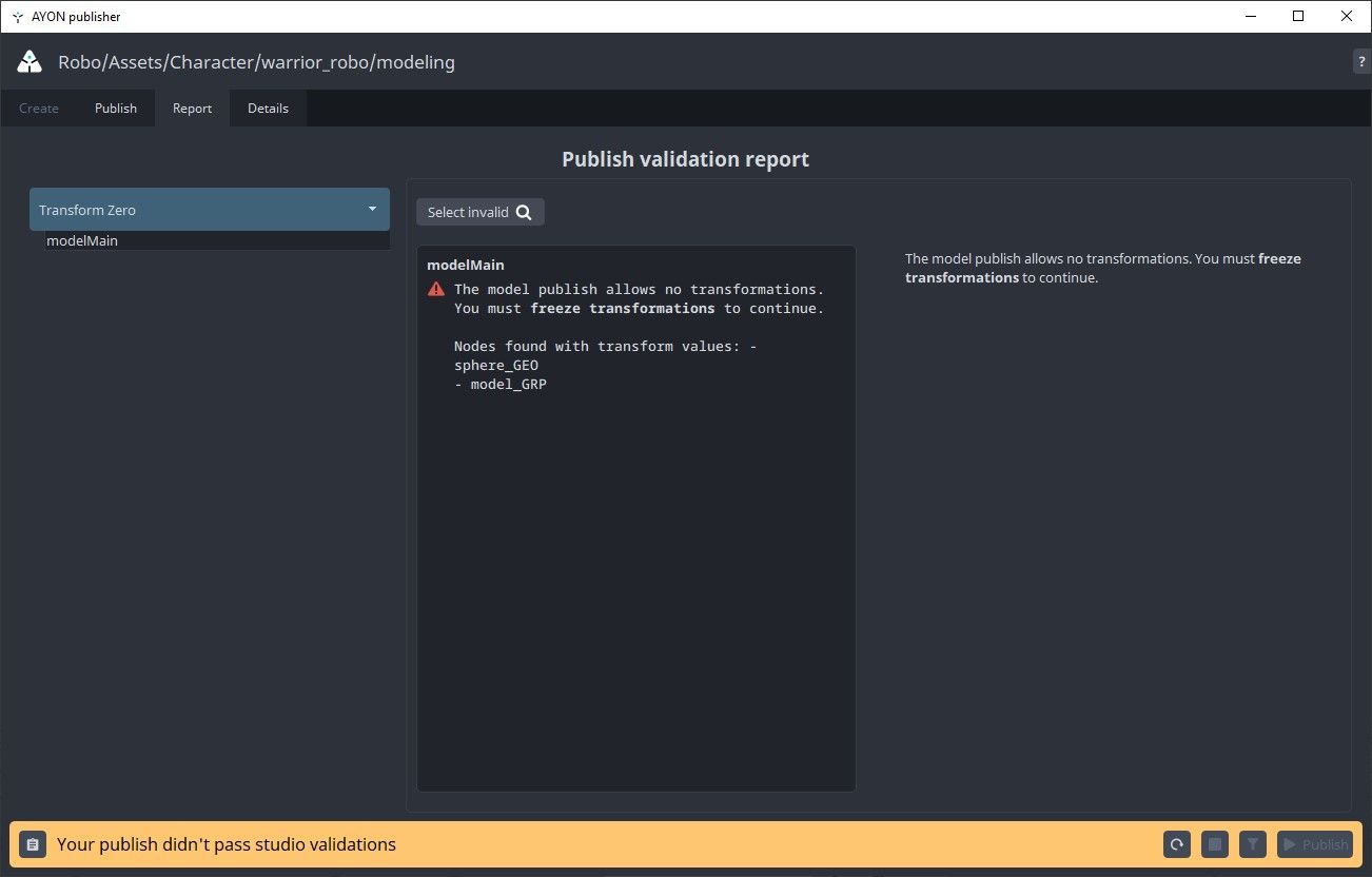 Failed Model Validator details