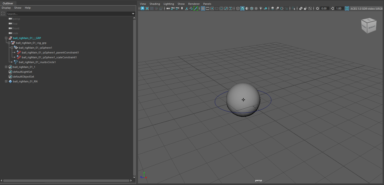 Maya - Yeti Simple Rig