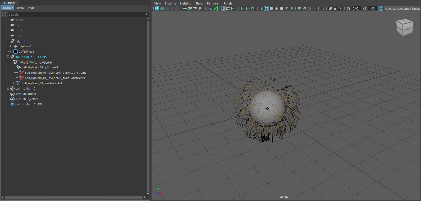 Maya - Yeti Hair Setup