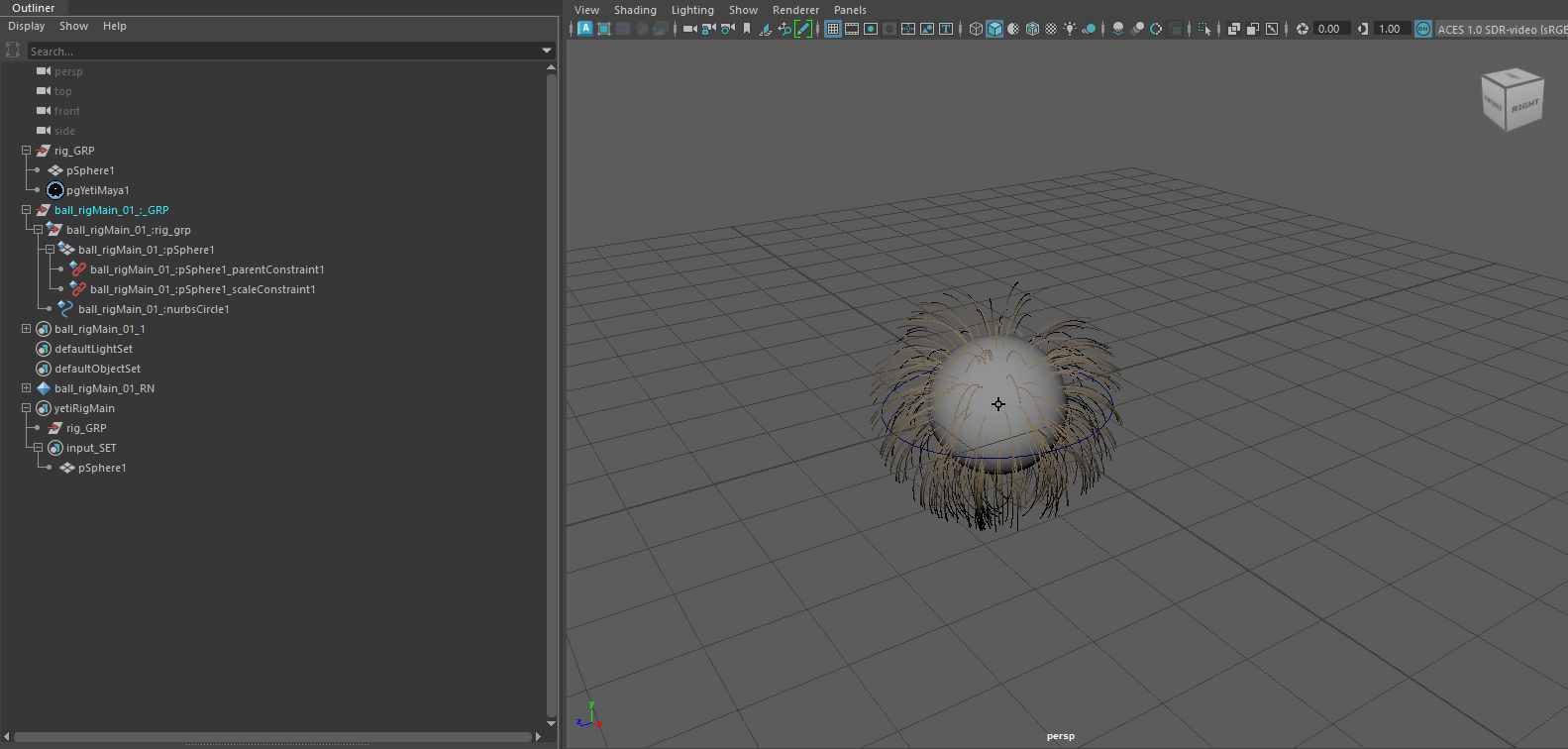 Maya - Yeti Publish Setup