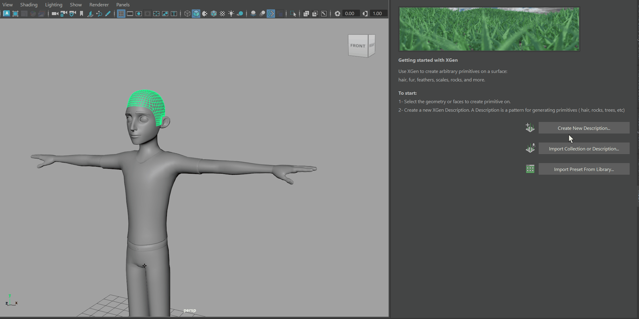 Xgen Create Publish