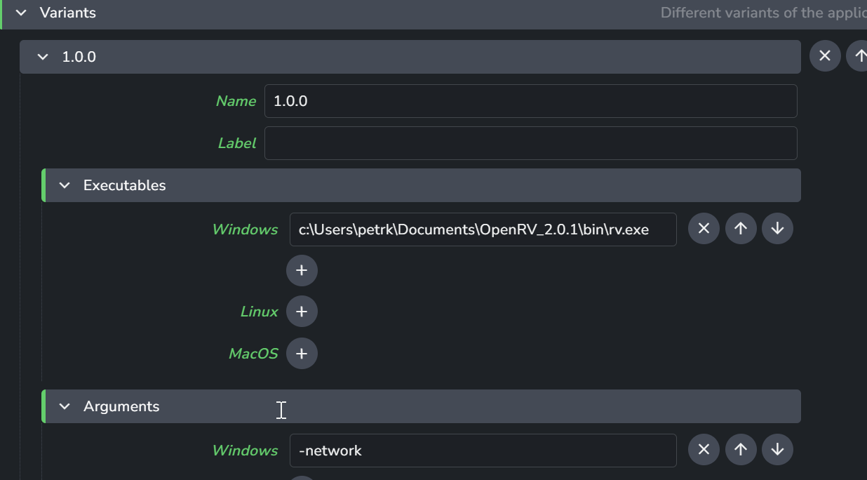 OpenRV networking