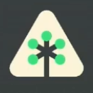 Custom icon