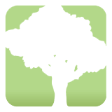 Custom icon